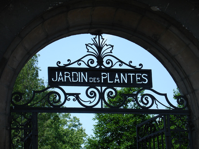 jard_plant_100.JPG